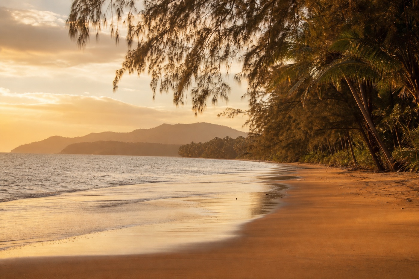 Wonga Beach at golden hour — calm tropical water, palms along the shore, the Daintree headland in the haze